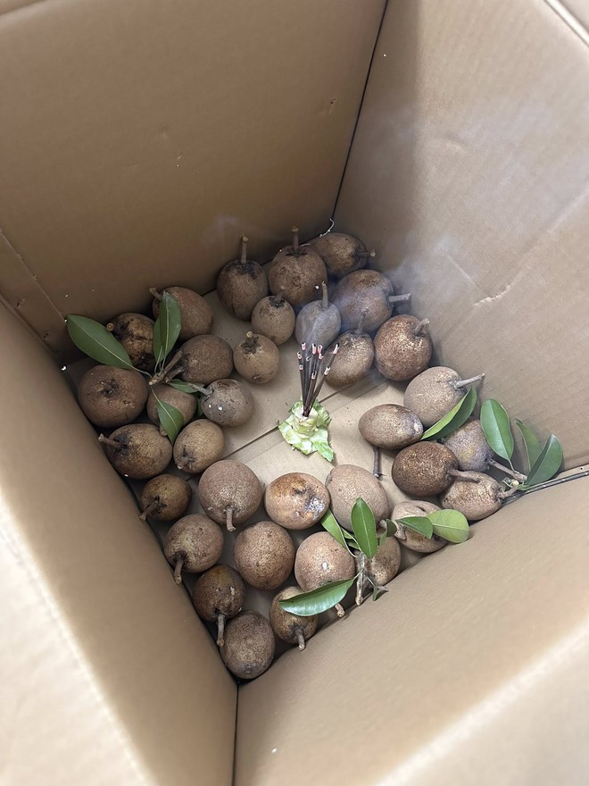 C&ocirc; g&aacute;i cắm hương v&agrave;o th&ugrave;ng hoa quả, nhiều người thắc mắc v&igrave; sao- Ảnh 1.