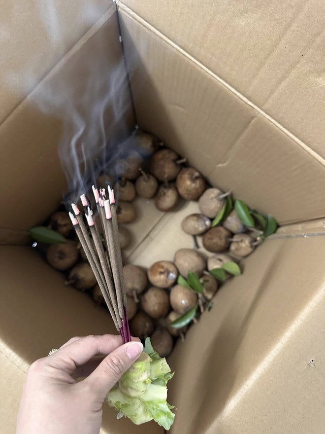 C&ocirc; g&aacute;i cắm hương v&agrave;o th&ugrave;ng hoa quả, nhiều người thắc mắc v&igrave; sao- Ảnh 2.