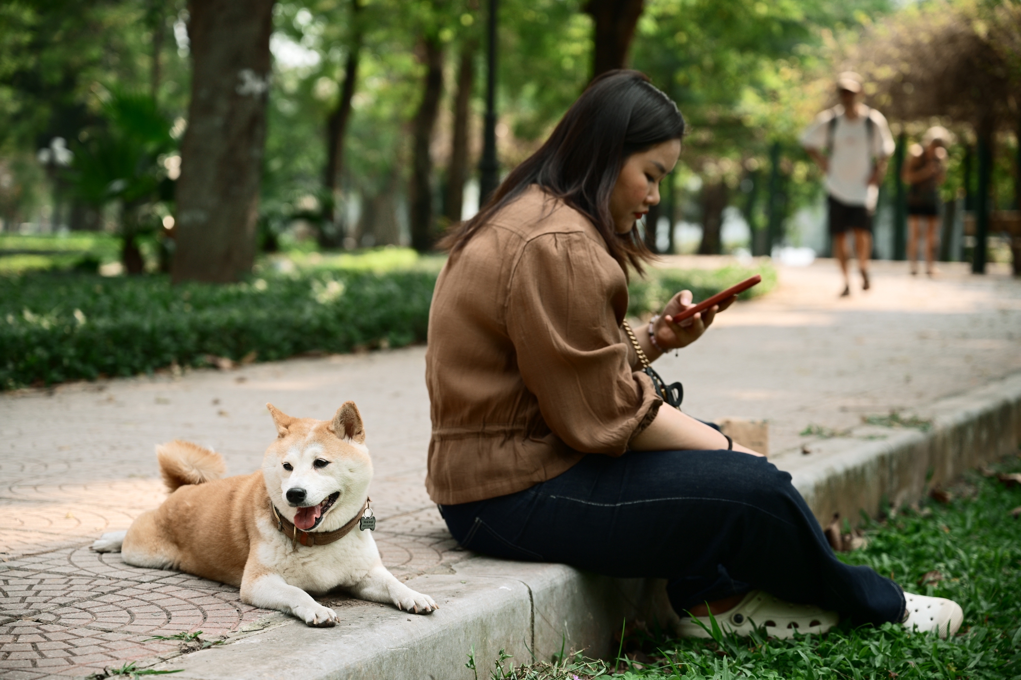 Người Hà Nội đang đổ xô ra công viên Thống Nhất săn lùng một khung cảnh vô thực- Ảnh 9. Người Hà Nội đang đổ xô ra công viên Thống Nhất săn lùng một khung cảnh vô thực- Ảnh 9.