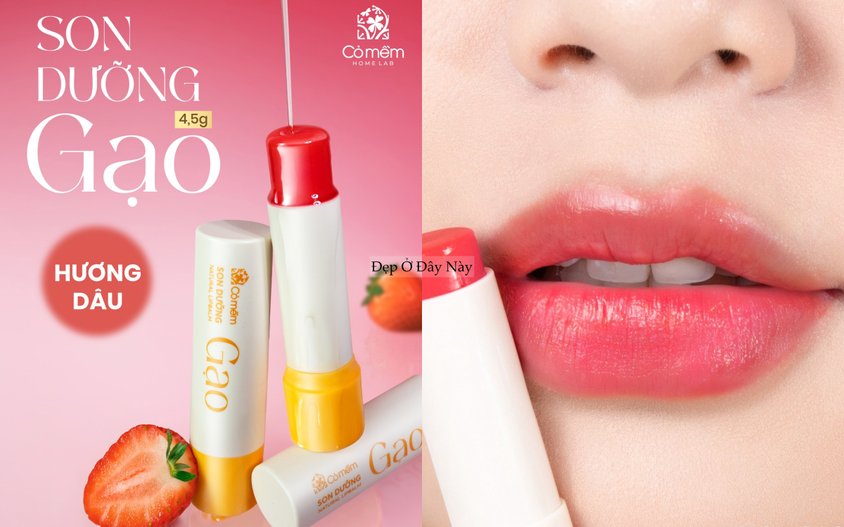 5 son dưỡng c&oacute; m&agrave;u "made in Vietnam" l&ecirc;n m&agrave;u tự nhi&ecirc;n, rất đ&aacute;ng để mua v&agrave;i thỏi- Ảnh 3.