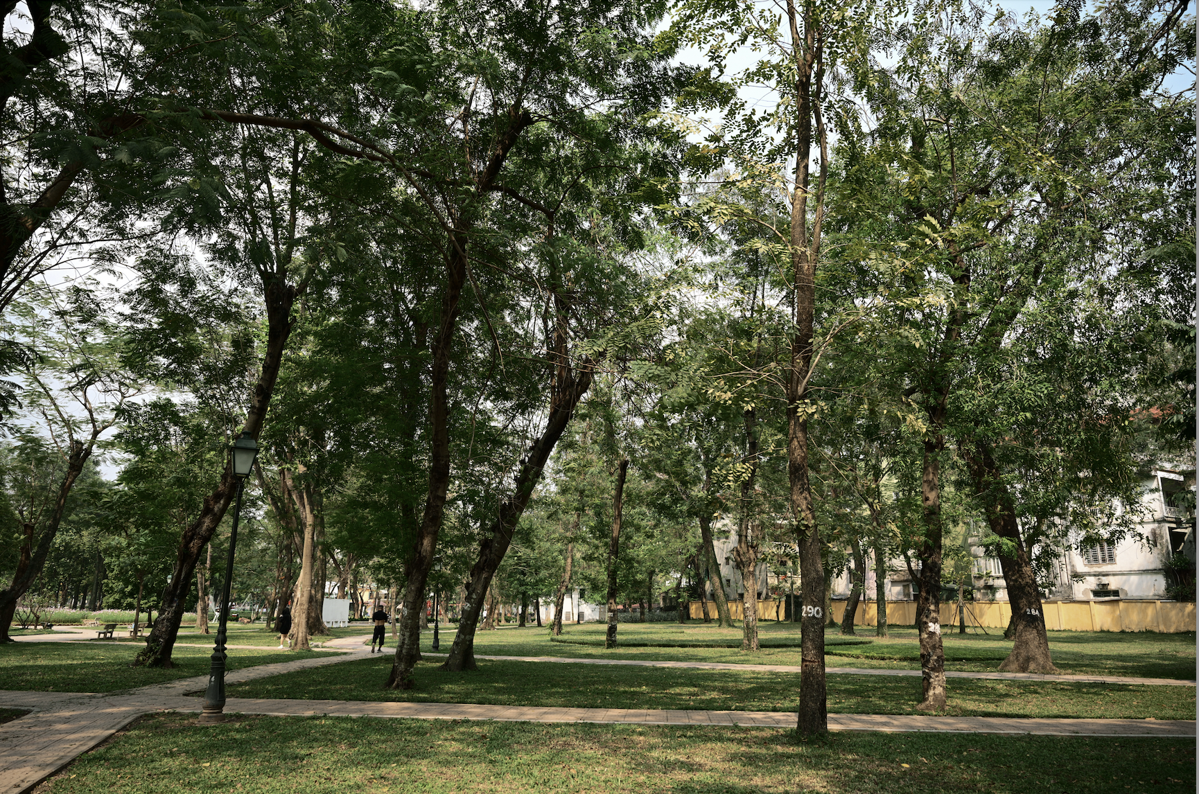 Người Hà Nội đang đổ xô ra công viên Thống Nhất săn lùng một khung cảnh vô thực- Ảnh 11. Người Hà Nội đang đổ xô ra công viên Thống Nhất săn lùng một khung cảnh vô thực- Ảnh 11.