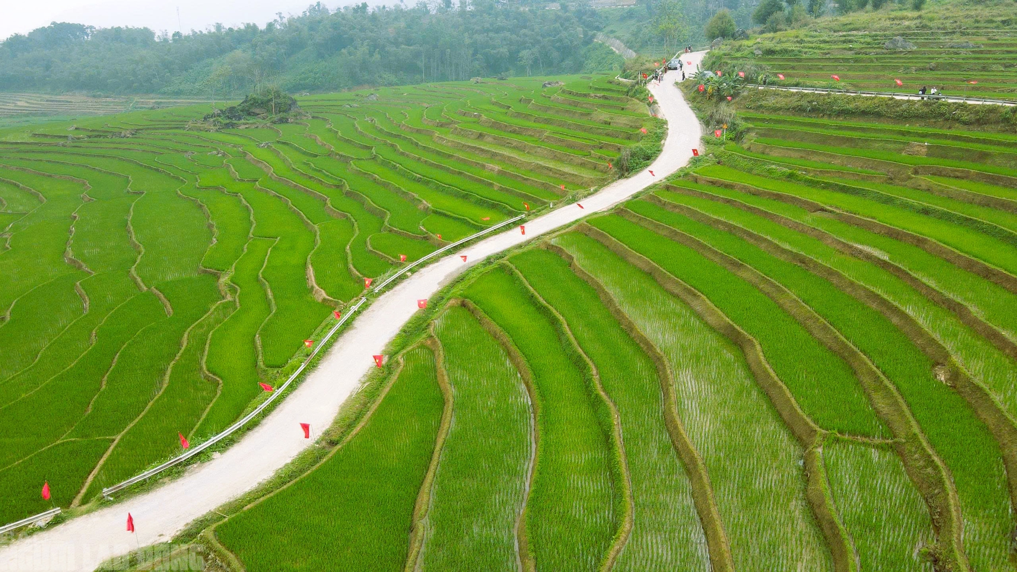 Điểm du lịch nổi tiếng ở Thanh H&oacute;a rực rỡ cờ Tổ quốc trước ng&agrave;y bầu cử- Ảnh 2.