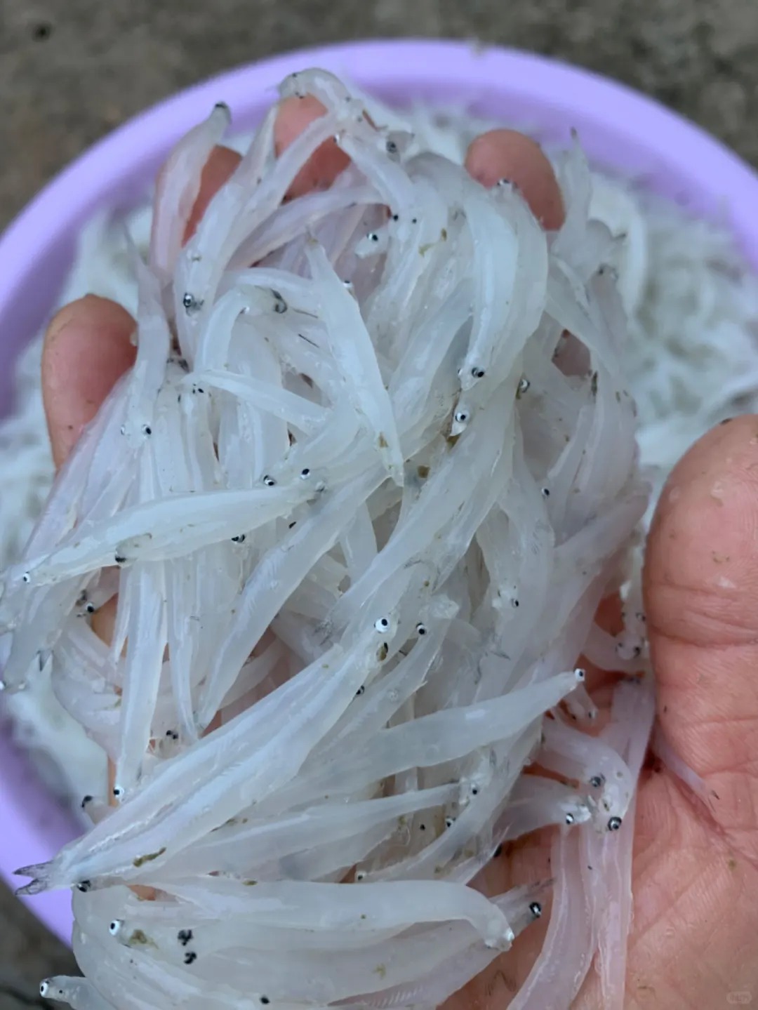 6 món đặc sản Hoài An ngon nức nở, nhìn thôi đã thấy cả một trời thương nhớ quê nhà, ngon chẳng kém gì mâm cơm mẹ nấu!- Ảnh 28. 6 món đặc sản Hoài An ngon nức nở, nhìn thôi đã thấy cả một trời thương nhớ quê nhà, ngon chẳng kém gì mâm cơm mẹ nấu!- Ảnh 28.