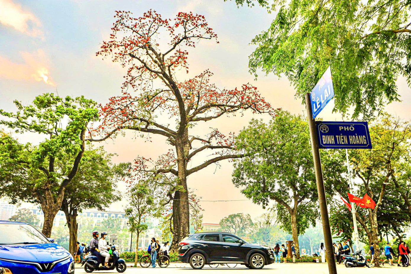 H&agrave; Nội rực đỏ sắc hoa gạo trong những ng&agrave;y giao m&ugrave;a- Ảnh 1.