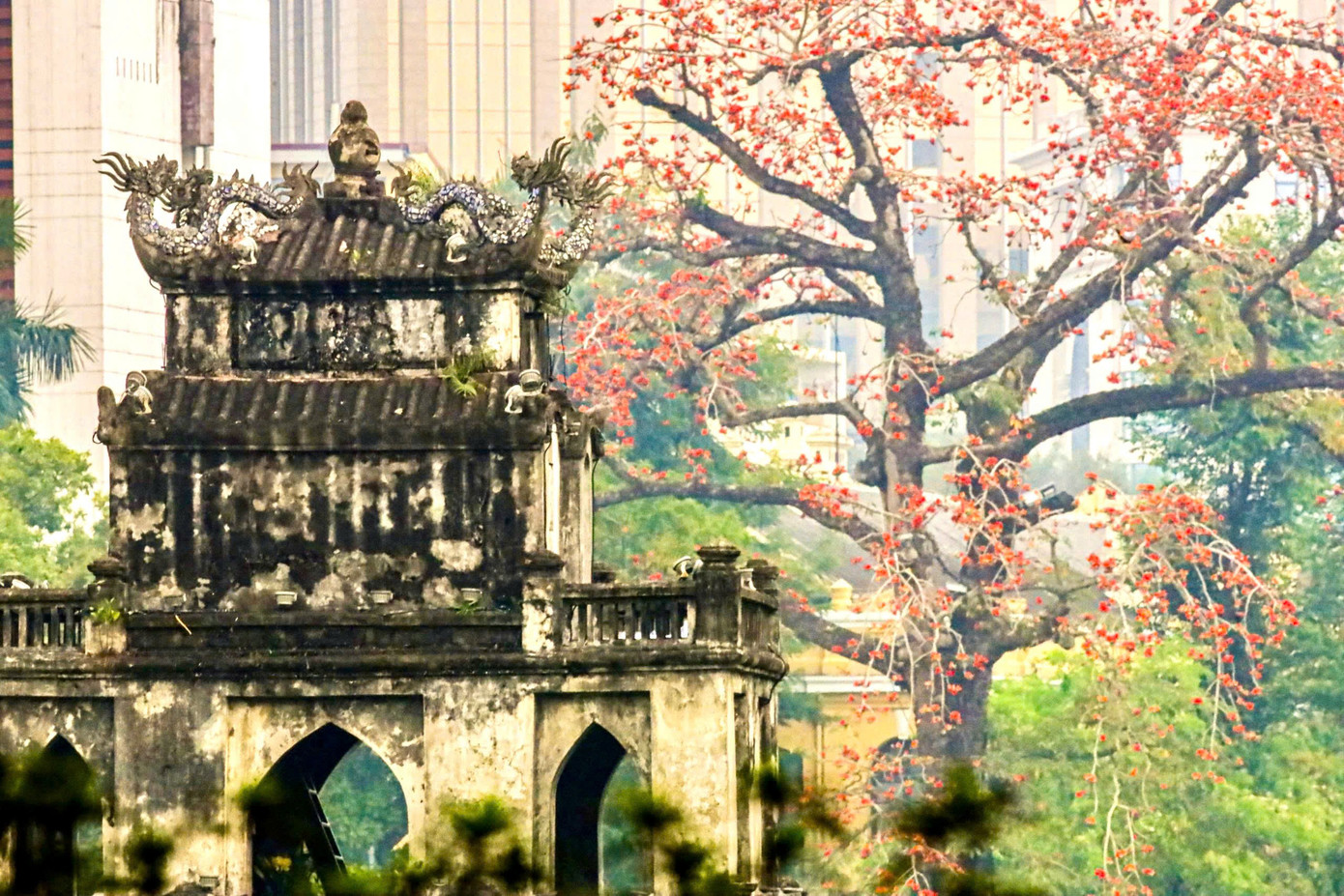 H&agrave; Nội rực đỏ sắc hoa gạo trong những ng&agrave;y giao m&ugrave;a- Ảnh 2.