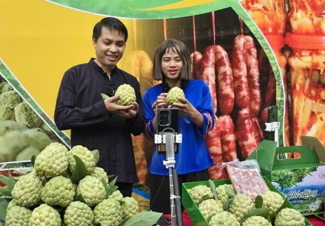 Đặc sản v&ugrave;ng n&uacute;i ph&iacute;a Bắc được v&iacute; như "vua của c&aacute;c loại", Chủ tịch x&atilde; từng trực tiếp b&aacute;n tr&ecirc;n livestream- Ảnh 6.