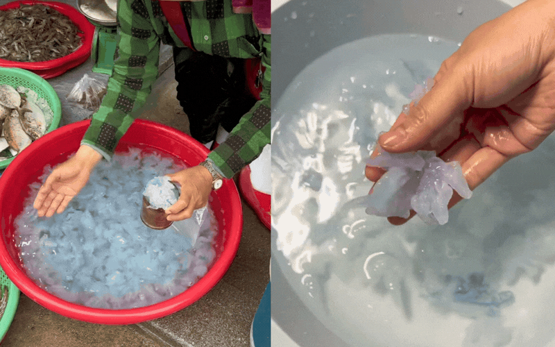 Đặc sản n&agrave;y ở Huế đ&atilde; v&agrave;o m&ugrave;a: M&agrave;u xanh trong veo m&aacute;t mắt, d&acirc;n bản địa m&ecirc; mệt c&oacute; khi chẳng c&oacute; m&agrave; ăn- Ảnh 2.