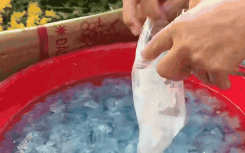 Đặc sản n&agrave;y ở Huế đ&atilde; v&agrave;o m&ugrave;a: M&agrave;u xanh trong veo m&aacute;t mắt, d&acirc;n bản địa m&ecirc; mệt c&oacute; khi chẳng c&oacute; m&agrave; ăn- Ảnh 4.