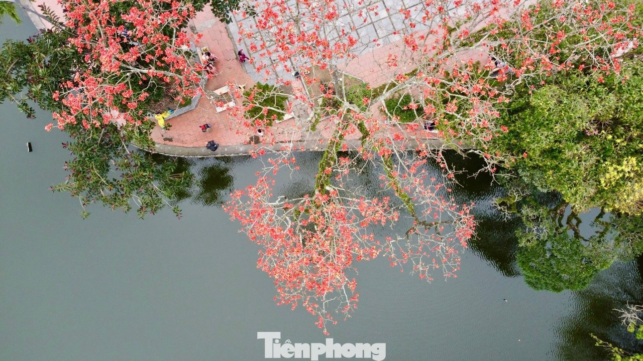 H&agrave; Nội rực đỏ sắc hoa gạo trong những ng&agrave;y giao m&ugrave;a- Ảnh 12.