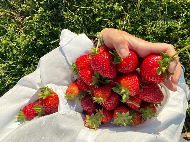 Đột quỵ rất &ldquo;sợ&rdquo; loại quả n&agrave;y, vừa l&agrave; &ldquo;vua vitamin C&rdquo; c&ograve;n gi&agrave;u chất chống oxy h&oacute;a: Người Việt ăn nhiều m&agrave; kh&ocirc;ng biết- Ảnh 3.