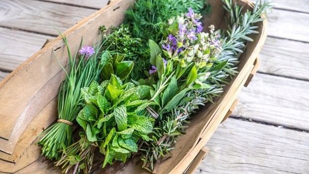 Loại rau gia vị tốt nhất, đem lại nhiều lợi &iacute;ch cho sức khỏe- Ảnh 2.