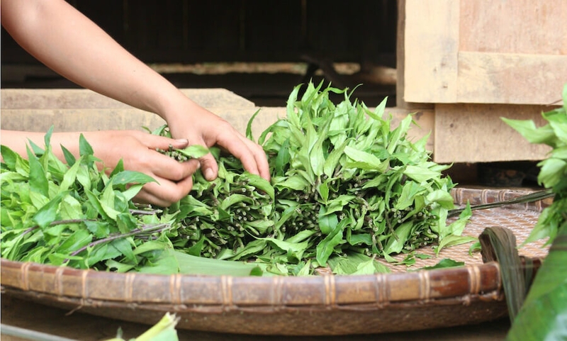 M&oacute;n rau n&ecirc;n ăn v&agrave;o th&aacute;ng Ba - vừa ngon, dễ nấu lại gi&uacute;p th&uacute;c đẩy nhu động ruột, nu&ocirc;i dưỡng gan v&agrave; bảo vệ mắt- Ảnh 2.