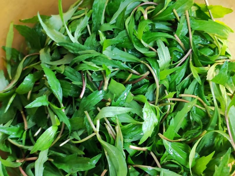 M&oacute;n rau n&ecirc;n ăn v&agrave;o th&aacute;ng Ba - vừa ngon, dễ nấu lại gi&uacute;p th&uacute;c đẩy nhu động ruột, nu&ocirc;i dưỡng gan v&agrave; bảo vệ mắt- Ảnh 3.