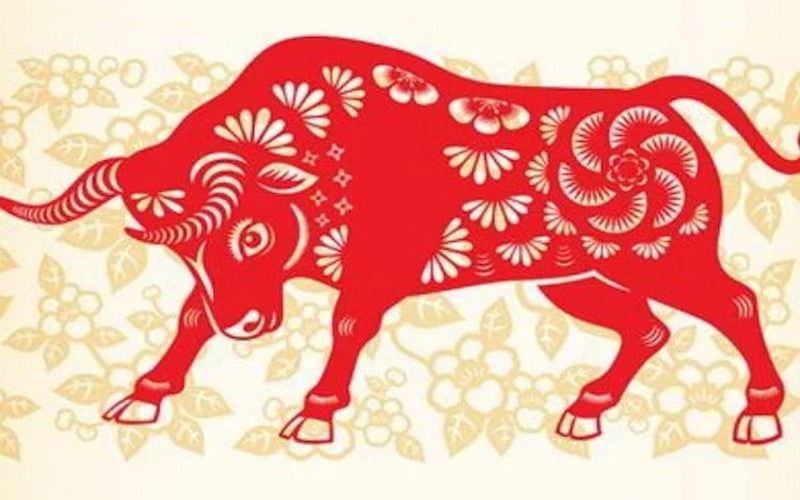 Top 5 con gi&aacute;p hợp mua xe, đầu tư bất động sản năm 2026- Ảnh 4.