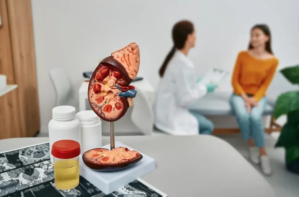 4 loại thực phẩm &ldquo;bức tử&rdquo; thận mỗi ng&agrave;y: Kh&ocirc;ng &iacute;t người vẫn v&ocirc; tư d&ugrave;ng- Ảnh 1.