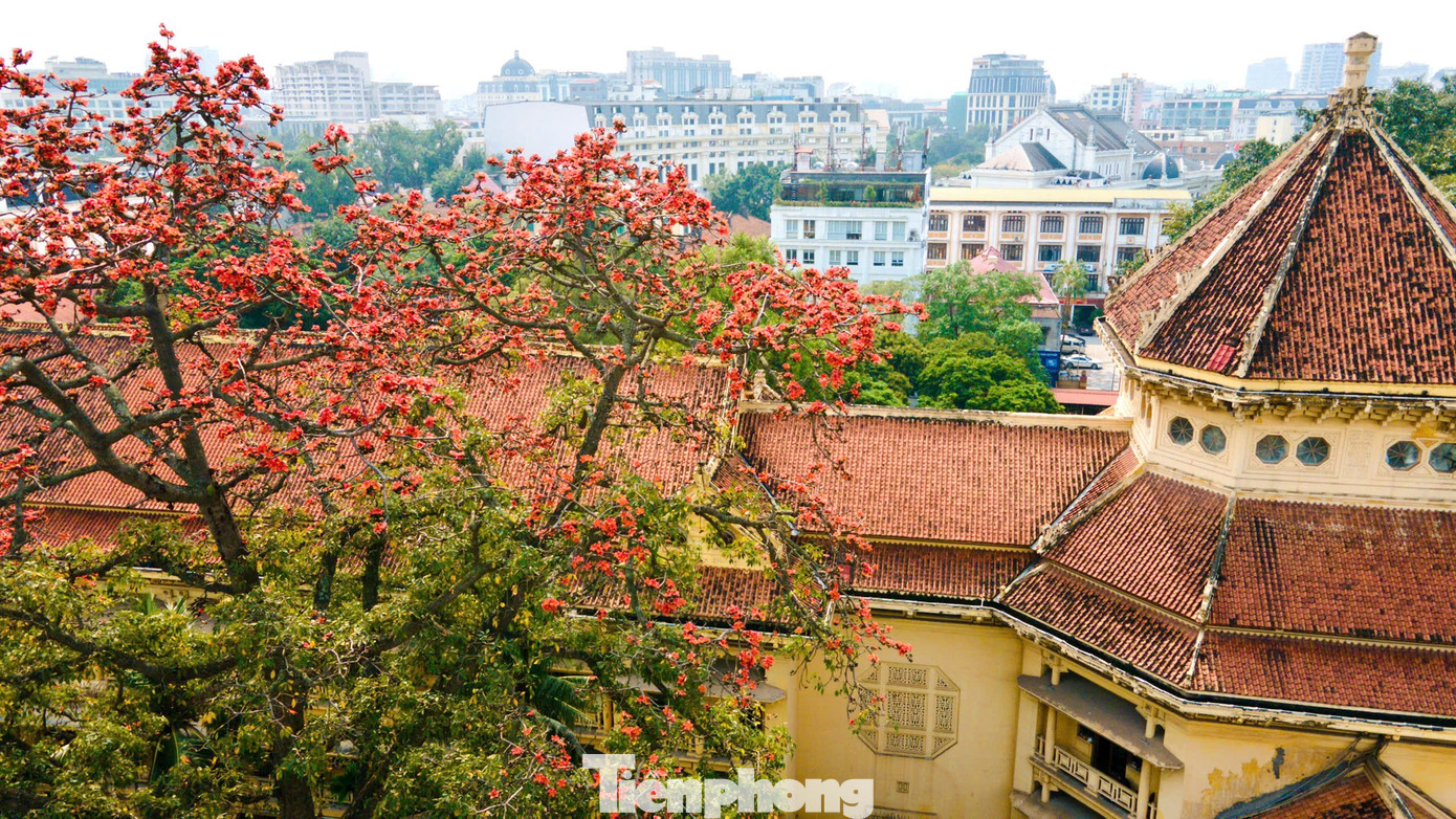 H&agrave; Nội rực đỏ sắc hoa gạo trong những ng&agrave;y giao m&ugrave;a- Ảnh 8.
