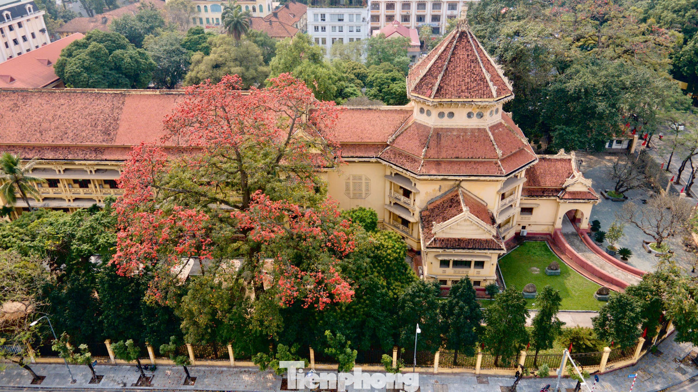 H&agrave; Nội rực đỏ sắc hoa gạo trong những ng&agrave;y giao m&ugrave;a- Ảnh 7.