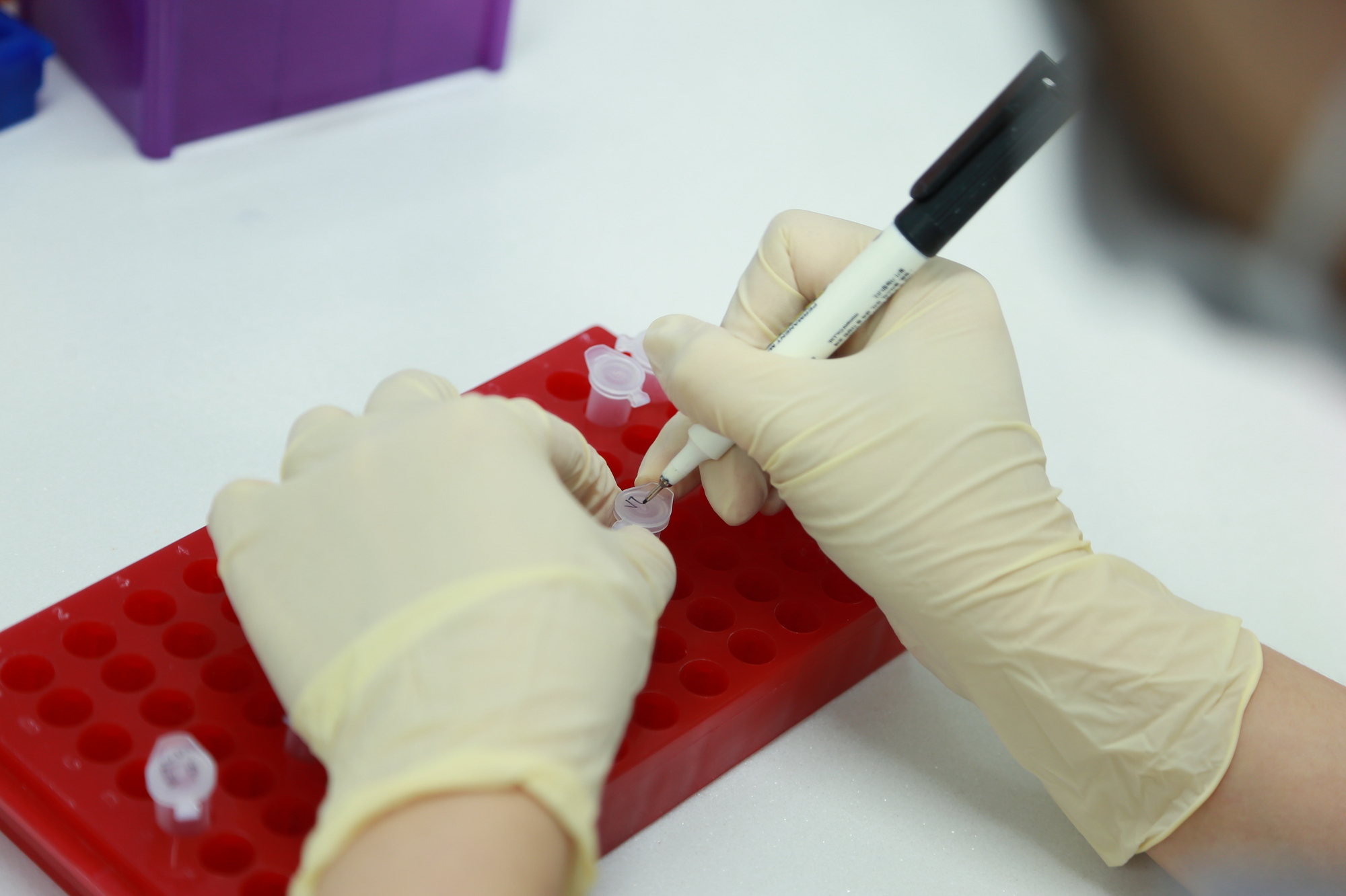 Hàng xóm xì xào cháu không giống bố, bà nội đưa đi làm ADN: Ngày nhận kết quả, bất ngờ với yêu cầu của bà- Ảnh 1. Hàng xóm xì xào cháu không giống bố, bà nội đưa đi làm ADN: Ngày nhận kết quả, bất ngờ với yêu cầu của bà- Ảnh 1.