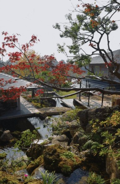 Người đàn ông 42 tuổi về quê xây nhà vườn 1.700m2 cho bố mẹ dưỡng già: “Tôi từng ngủ gầm cầu, nhặt rác mưu sinh”- Ảnh 10. Người đàn ông 42 tuổi về quê xây nhà vườn 1.700m2 cho bố mẹ dưỡng già: “Tôi từng ngủ gầm cầu, nhặt rác mưu sinh”- Ảnh 10.