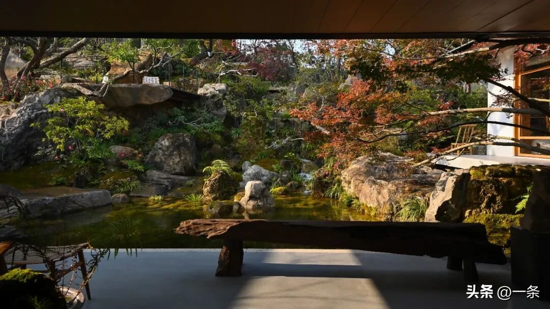 Người đàn ông 42 tuổi về quê xây nhà vườn 1.700m2 cho bố mẹ dưỡng già: “Tôi từng ngủ gầm cầu, nhặt rác mưu sinh”- Ảnh 6. Người đàn ông 42 tuổi về quê xây nhà vườn 1.700m2 cho bố mẹ dưỡng già: “Tôi từng ngủ gầm cầu, nhặt rác mưu sinh”- Ảnh 6.