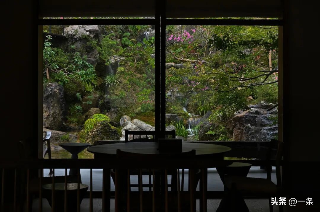 Người đàn ông 42 tuổi về quê xây nhà vườn 1.700m2 cho bố mẹ dưỡng già: “Tôi từng ngủ gầm cầu, nhặt rác mưu sinh”- Ảnh 5. Người đàn ông 42 tuổi về quê xây nhà vườn 1.700m2 cho bố mẹ dưỡng già: “Tôi từng ngủ gầm cầu, nhặt rác mưu sinh”- Ảnh 5.