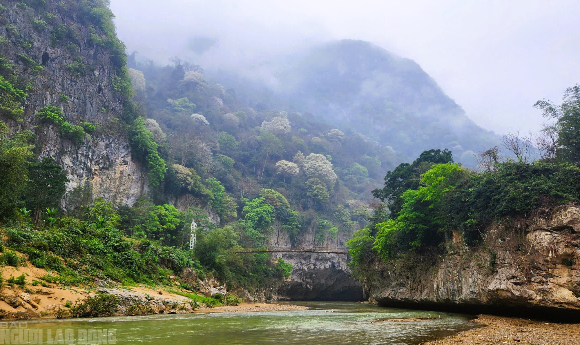VIDEO: Ngây ngất với loài hoa nở trắng rừng xứ Thanh- Ảnh 2. VIDEO: Ngây ngất với loài hoa nở trắng rừng xứ Thanh- Ảnh 2.