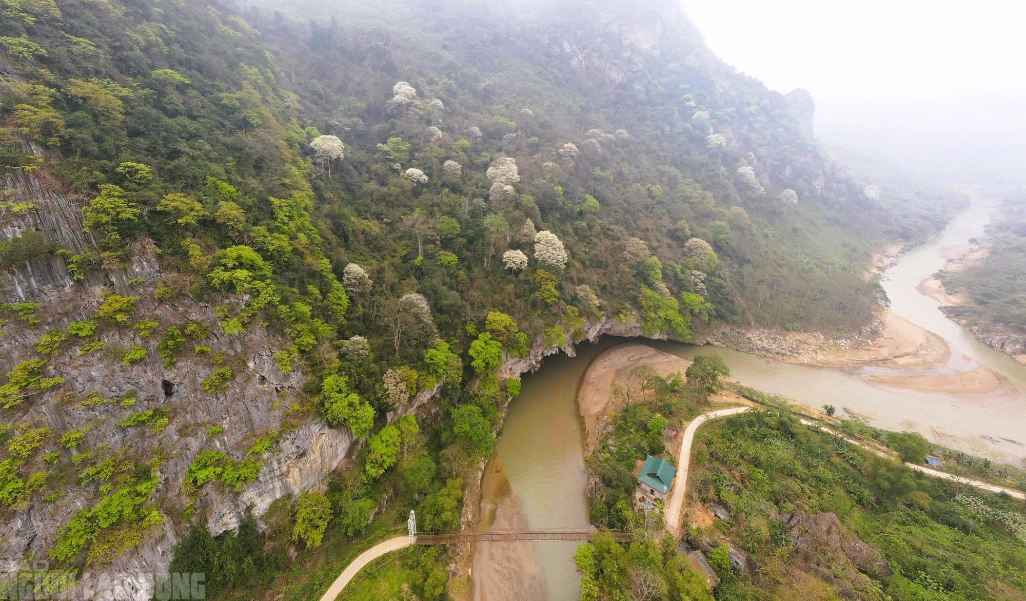 VIDEO: Ngây ngất với loài hoa nở trắng rừng xứ Thanh- Ảnh 6. VIDEO: Ngây ngất với loài hoa nở trắng rừng xứ Thanh- Ảnh 6.