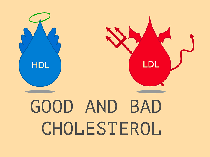 Cholesterol ''tốt'' v&agrave; ''xấu'' kh&aacute;c nhau thế n&agrave;o? L&agrave;m sao để giảm mỡ m&aacute;u ''xấu'', tăng mỡ m&aacute;u ''tốt''?- Ảnh 1.