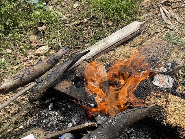 Đặc sản miền Trung "vừa đắng vừa ngọt", nướng bằng l&aacute; rừng, Chủ tịch tỉnh chia sẻ tr&ecirc;n Facebook- Ảnh 4.