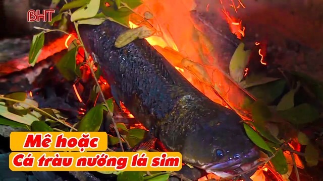 Đặc sản miền Trung "vừa đắng vừa ngọt", nướng bằng l&aacute; rừng, Chủ tịch tỉnh chia sẻ tr&ecirc;n Facebook- Ảnh 3.