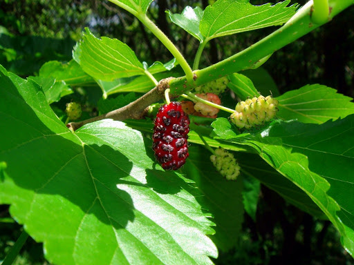 C&aacute;ch kiểm so&aacute;t t&igrave;nh trạng ra mồ h&ocirc;i tay hiệu quả bậc nhất- Ảnh 4.