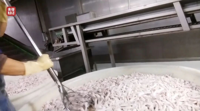 Bên trong xưởng sản xuất chân gà "hot trend" Trung Quốc: Tẩy trắng bằng oxy già và hàng tấn hoá chất, chân gà chất đống trên nền đất bẩn- Ảnh 5. Bên trong xưởng sản xuất chân gà "hot trend" Trung Quốc: Tẩy trắng bằng oxy già và hàng tấn hoá chất, chân gà chất đống trên nền đất bẩn- Ảnh 5.