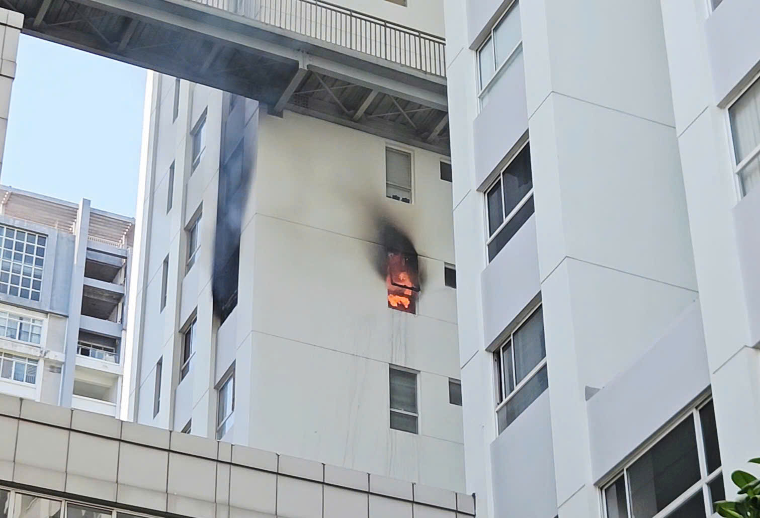 Nguy&ecirc;n nh&acirc;n ban đầu vụ ch&aacute;y căn hộ chung cư 25 tầng ở TPHCM- Ảnh 2.