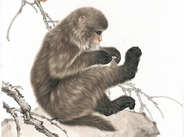 4 con gi&aacute;p sắp đ&oacute;n tin vui từ th&aacute;ng 2 &Acirc;m lịch: Sự nghiệp thăng tiến, tiền t&agrave;i như &yacute;, dễ đạt đỉnh cao vận may- Ảnh 2.