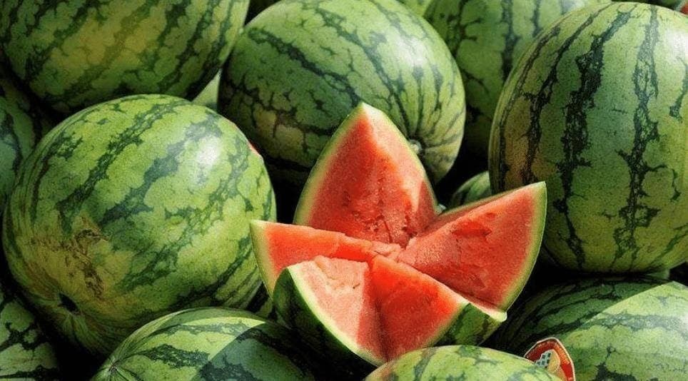 Vỗ r&aacute;t cả tay kh&ocirc;ng mua nổi quả dưa hấu &ldquo;ra hồn&rdquo;: Nh&acirc;n vi&ecirc;n si&ecirc;u thị tiết lộ đ&uacute;ng 1 chi tiết mấu chốt- Ảnh 2.