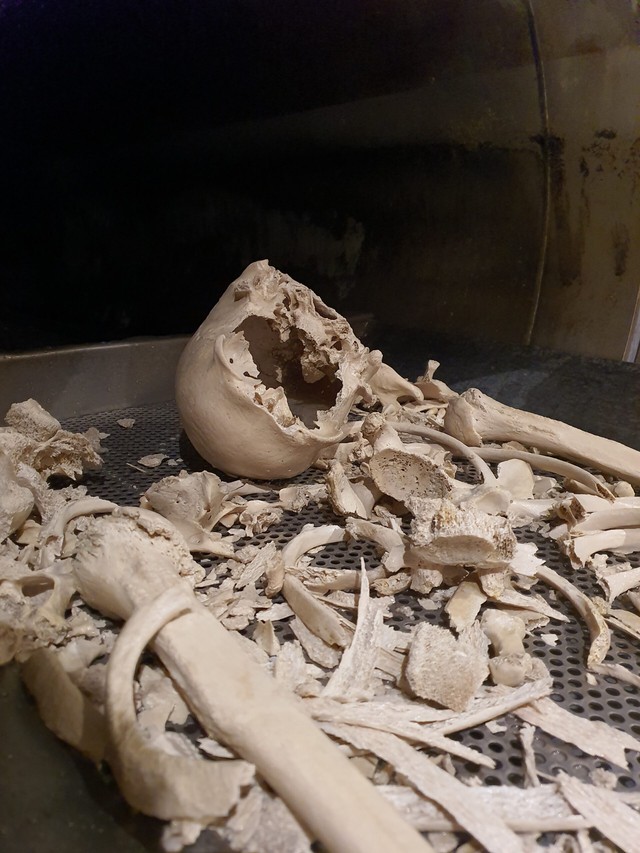 Ph&acirc;n hủy thi thể th&agrave;nh... nước rồi đổ xuống cống: Phương ph&aacute;p mai t&aacute;ng th&acirc;n thiện m&ocirc;i trường hay tận c&ugrave;ng của sự đ&aacute;ng sợ?- Ảnh 5.