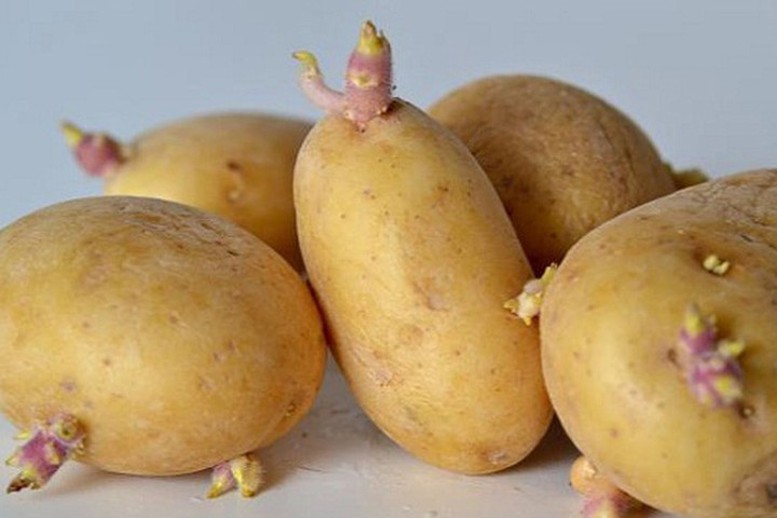 6 m&oacute;n ăn sinh h&oacute;a chất t&agrave;n ph&aacute; cơ thể, d&ugrave; rửa sạch hay đun s&ocirc;i 100 độ C cũng v&ocirc; t&aacute;c dụng- Ảnh 2.