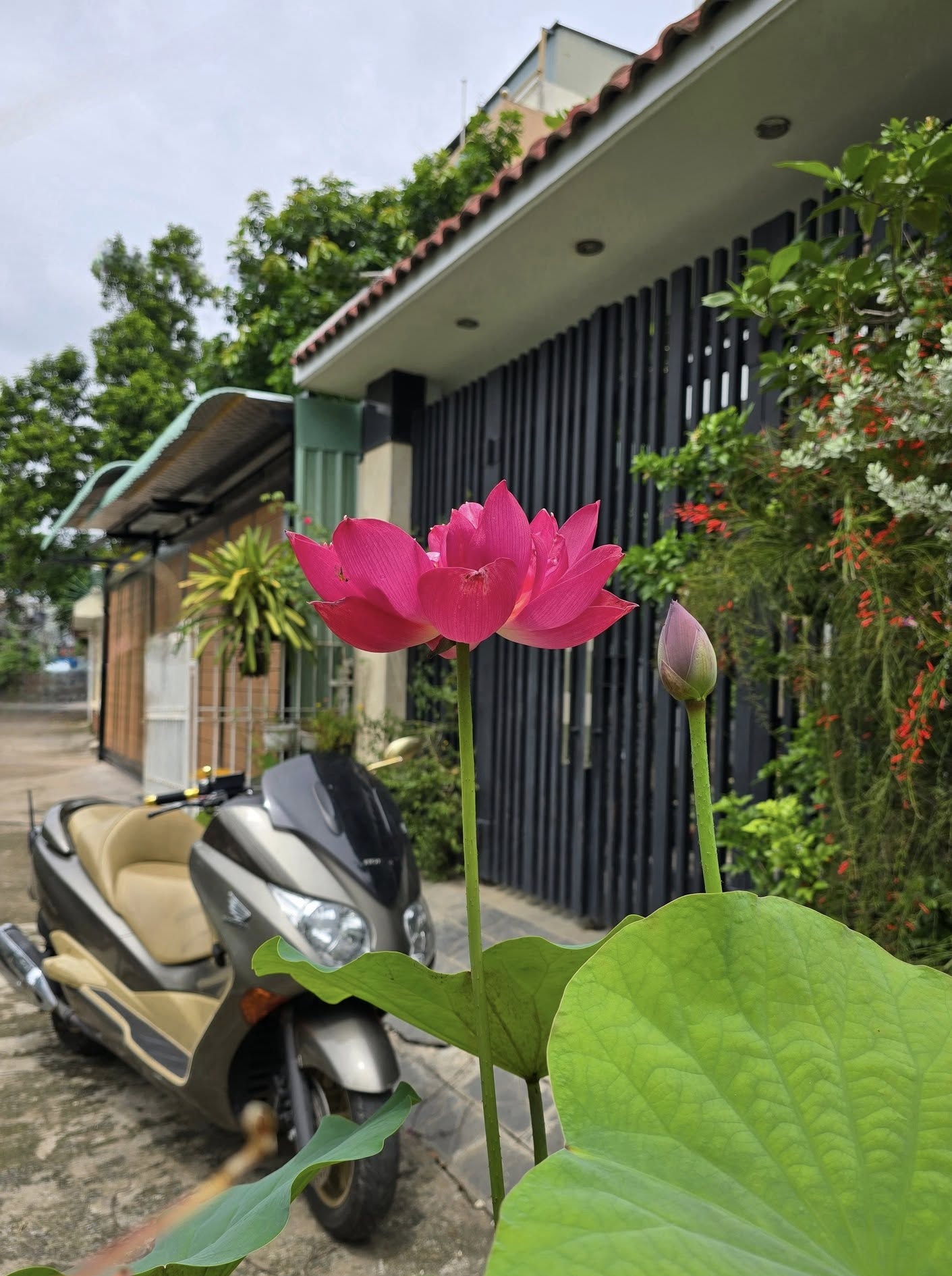 "&Ocirc;ng ho&agrave;ng nhạc đỏ" nổi tiếng miền Nam: Mặn nồng b&ecirc;n vợ diễn vi&ecirc;n, c&oacute; cả nh&agrave; phố lẫn biệt thự 3000m2- Ảnh 7.