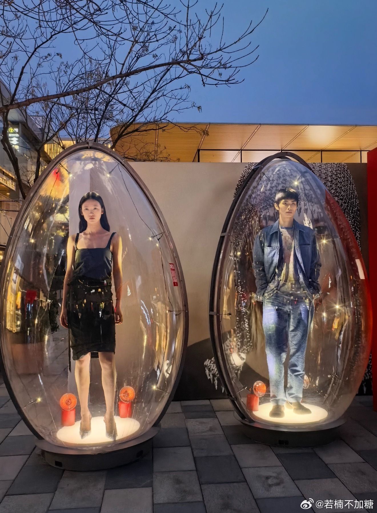 Tranh c&atilde;i: Diesel nhốt người mẫu Trung Quốc trong lồng k&iacute;nh giữa trời lạnh, nhiều người ph&aacute;n "v&ocirc; nh&acirc;n đạo" cho đến khi biết mức lương 1 ng&agrave;y- Ảnh 1.