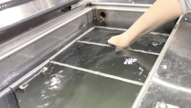 Ph&acirc;n hủy thi thể th&agrave;nh... nước rồi đổ xuống cống: Phương ph&aacute;p mai t&aacute;ng th&acirc;n thiện m&ocirc;i trường hay tận c&ugrave;ng của sự đ&aacute;ng sợ?- Ảnh 4.