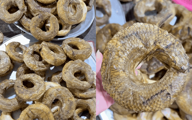 Loại đặc sản ở Nghệ An hồi xưa chỉ nh&agrave; gi&agrave;u hoặc b&agrave; đẻ mới được ăn: Chỉ khoảng 200k/kg m&agrave; nay được thực kh&aacute;ch mu&ocirc;n phương m&ecirc; mẩn- Ảnh 5.