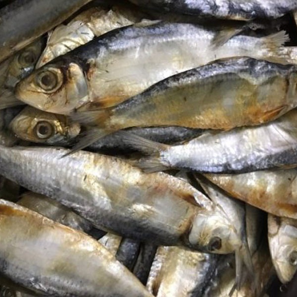 Hoa mắt trước quầy c&aacute; si&ecirc;u thị: Nh&acirc;n vi&ecirc;n chỉ 3 loại "v&ocirc; địch DHA", tốt cho n&atilde;o, gi&aacute; vừa t&uacute;i tiền- Ảnh 3.