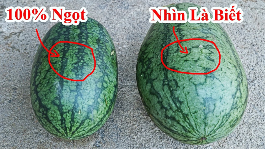 Vỗ r&aacute;t cả tay kh&ocirc;ng mua nổi quả dưa hấu &ldquo;ra hồn&rdquo;: Nh&acirc;n vi&ecirc;n si&ecirc;u thị tiết lộ đ&uacute;ng 1 chi tiết mấu chốt- Ảnh 3.