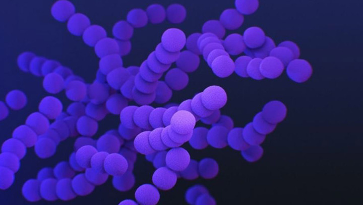 Sốt cao k&egrave;m r&eacute;t run nhiều ng&agrave;y, c&ocirc; g&aacute;i ph&aacute;t hiện mắc bệnh nguy hiểm- Ảnh 1.