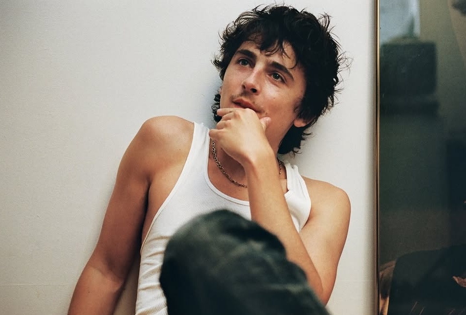 Timoth&eacute;e Chalamet ơi, đ&uacute;ng l&agrave; 