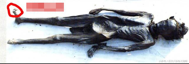 Bật nắp quan tài cổ 700 năm, chuyên gia sững sờ: Lỗ chân lông người phụ nữ vẫn rõ, tay còn cầm vật lạ- Ảnh 2. Bật nắp quan tài cổ 700 năm, chuyên gia sững sờ: Lỗ chân lông người phụ nữ vẫn rõ, tay còn cầm vật lạ- Ảnh 2.