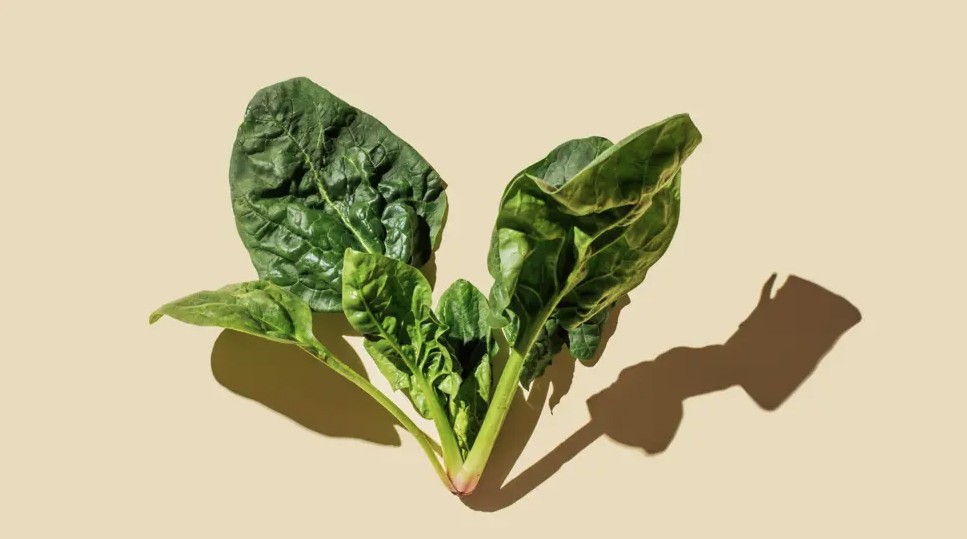 Ăn qu&aacute; nhiều 3 m&oacute;n n&agrave;y, thận "g&aacute;nh c&ograve;ng lưng"- Ảnh 1.