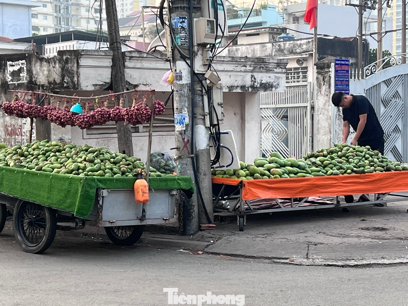 Dưa hấu, xo&agrave;i v&agrave;o m&ugrave;a, gi&aacute; rẻ bất ngờ- Ảnh 2.