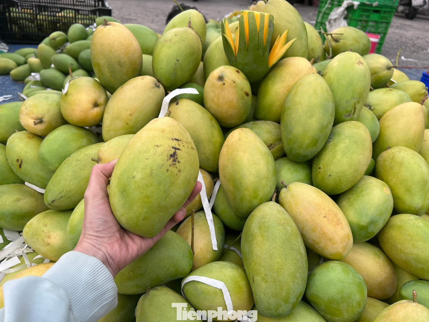 Dưa hấu, xo&agrave;i v&agrave;o m&ugrave;a, gi&aacute; rẻ bất ngờ- Ảnh 3.