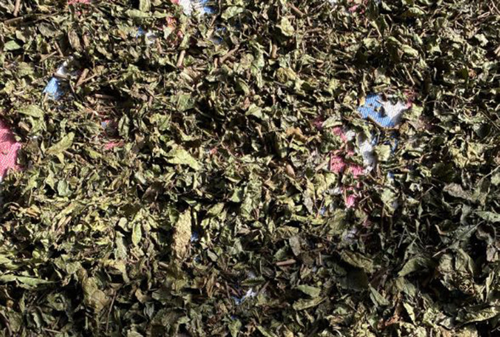 Uống nước xạ đen h&agrave;ng ng&agrave;y c&oacute; tốt?- Ảnh 2.